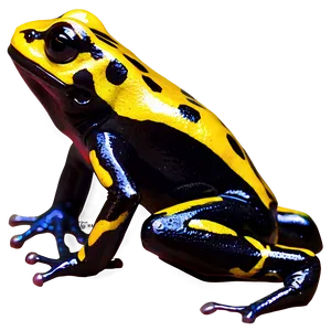 Bright Poison Dart Frog Png Nkx48 PNG Image