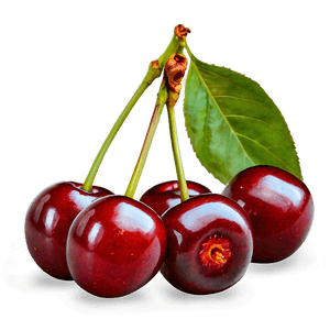 Bright Red Cherries PNG 97 PNG with transparent background