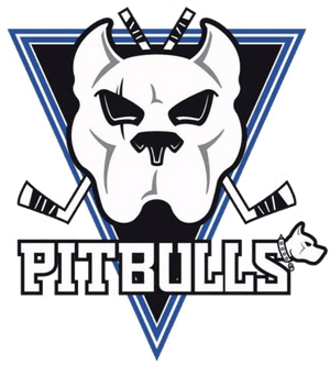 Bristol Pitbulls, HD Png Download PNG image with transparent background