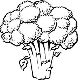 Lettuce 2 Famclipart Hd Image Clipart - Vegetables Clipart Black And White, HD Png Download PNG image with transparent background