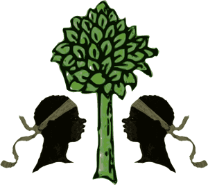 Transparent Broccoli Cartoon Png - Illustration, Png Download PNG image with transparent background