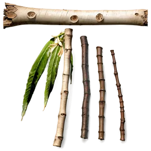 Broken Twig Png Jxo87 PNG Image