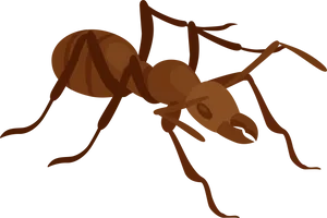 Brown Ant Illustration PNG Image