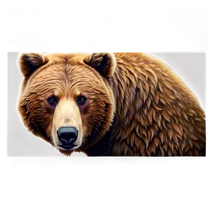 Brown Bear Face Design Png 06292024 PNG Image