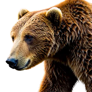 Brown Bear Png Auf PNG Image