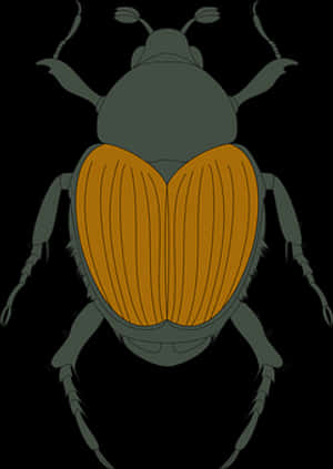 Brown Beetle Illustration PNG image with transparent background