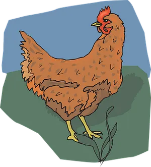 Brown Chicken Illustration PNG Image