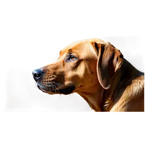 Brown Dog Face Artwork Png 06212024 PNG Image