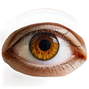 Brown Eye Transparent Png Cku68 PNG Image