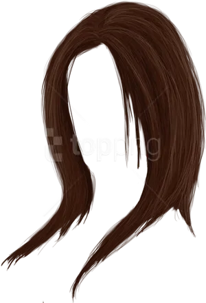 Brown Hair P N G Overlay PNG Image