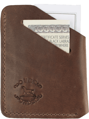 Brown Leather Walletwith Cash PNG image with transparent background