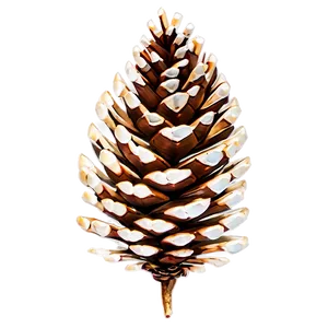 Brown Pine Cone Png 06202024 PNG Image