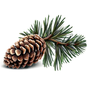 Brown Pine Cone Png Nox PNG Image