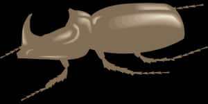 Brown Rhinoceros Beetle Illustration PNG image with transparent background