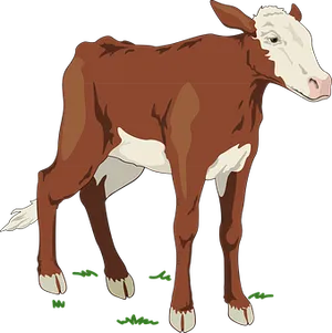 Brownand White Calf Illustration PNG Image