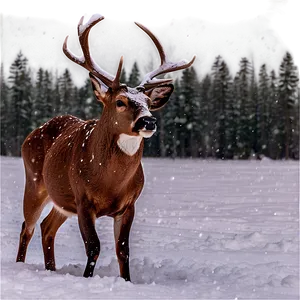 Buck In Snowstorm Png 06252024 PNG Image