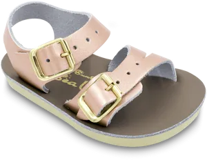 Buckled Pink Sandal Product Photo PNG Image