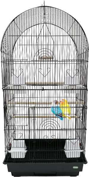 Budgiein Cage Home PNG Image