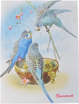 Budgies Enjoying Meal Vintage Illustration PNG Image