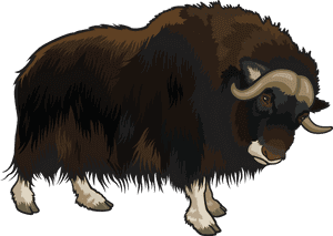 Buffalo Png Clipart - Buffalo Clipart Png, Transparent Png PNG image with transparent background