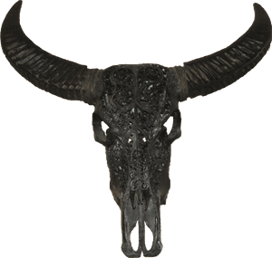 Buffalo Transparent Head - Buffalo Head Png, Png Download PNG image with transparent background