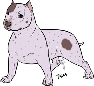 Bull And Terrier, HD Png Download PNG image with transparent background