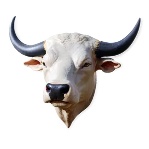 Bull Head B PNG Image