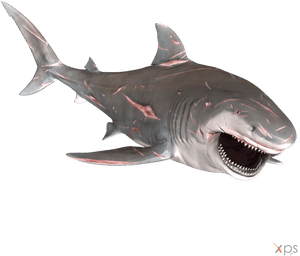 Bull Shark Png Graphic Transparent Stock - Great White Shark PNG image with transparent background