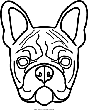 Bulldog Outline Art PNG image with transparent background