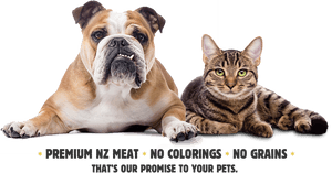 Bulldogand Tabby Cat Premium Pet Food Ad PNG image with transparent background