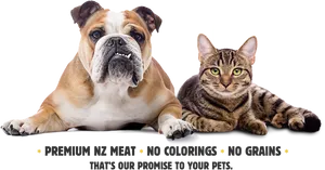 Bulldogand Tabby Cat Premium Pet Food Ad PNG Image