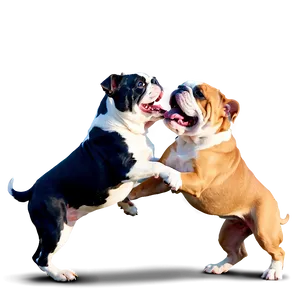 Bulldogs In A Playful Fight Png Qnw PNG Image