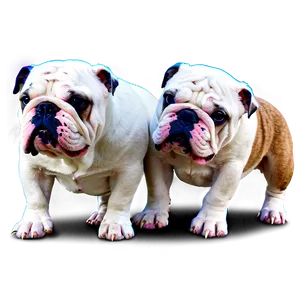 Bulldogs In The City Png Lrq PNG Image