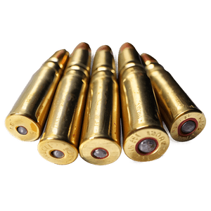 Bullet Casings PNG wak PNG