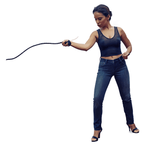 Bullwhip Action PNG hax PNG image with transparent background