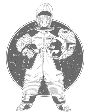 Bulmain Space Suit Dragon Ball PNG Image