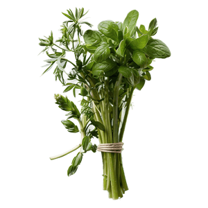 Bunch of Herb PNG yqp61 PNG with transparent background