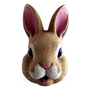 Bunny Face Closeup Png 06282024 PNG Image