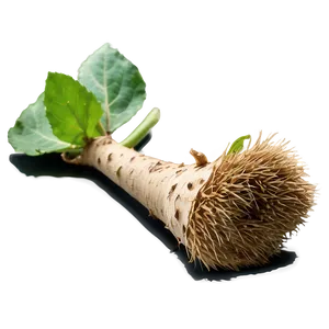 Burdock Root Png Wtn46 PNG Image