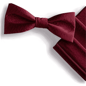 Burgundy Bow Tie Elegance PNG aoy PNG