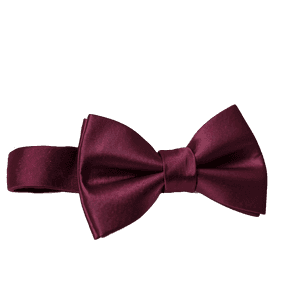 Burgundy Bow Tie Elegance PNG hog50 PNG