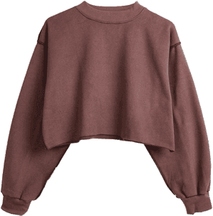 Top Shirt Blouse Rippolyvore Fashion Clothes Niche - Niche Meme Clothes Png, Transparent Png PNG
