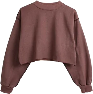 Burgundy Cropped Sweatshirt PNG Image