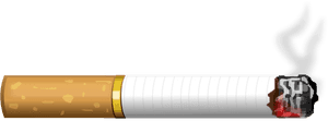 Png Sr Editing Zone, Transparent Png PNG image with transparent background