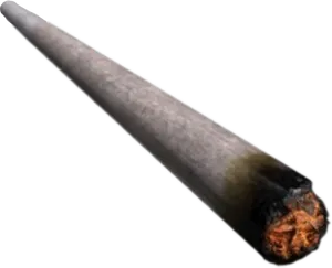 Burnt Cigar End PNG Image