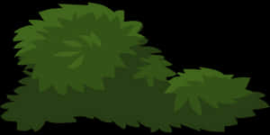 Bush Silhouette Vector PNG image with transparent background
