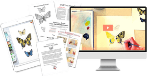 Papilio, HD Png Download PNG image with transparent background