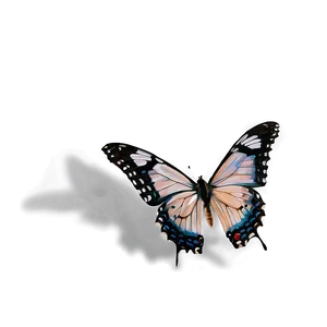 Butterfly Authenticity Png Xok30 PNG Image