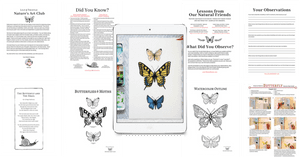 Swallowtail Butterfly, HD Png Download PNG image with transparent background