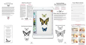 Butterfly Education Material Collage PNG Image